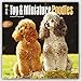 Toy and Miniature Poodles 2016 - Toypudel und Zwergpudel - 18-Monatskalender mit freier DogDays-App: Original BrownTrout-Kalender [Mehrsprachig] [Kalender] (Wall-Kalender) by 
