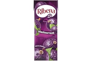 Ribena Blackcurrant Flavour Cartons Furit Juice 250ml Pack Of 24 Cartons