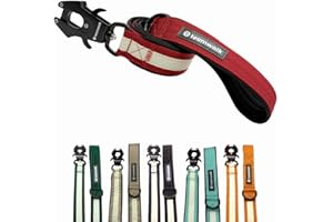 teamwalk® Premium Hundeleine - mit Leuchtstreifen, weicher Polsterung, robuster Schnalle,(Leine Bordeaux(130cm)) - perfekt abgestimmte Länge, für eine Gute Leinenführichkeit.