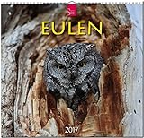 EULEN - Original Stürtz-Kalender 2017 - Mittelformat-Kalender 33 x 31 cm by 