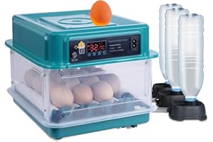 Hoapin Incubatrice per Uova Automatica Incubatrice per 15-16 Uova Gallina Controllo Automatico della Temperatura Giratura Automatica delle Uova Aggiunta Automatica Dell'acqua (15 Uova)