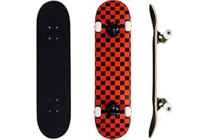 ERNAN Complete Skateboard for Beginners,31 x 8 Inch Double Kick Skateboard for Kids Teenagers & Adults. with Skate T-Tool.