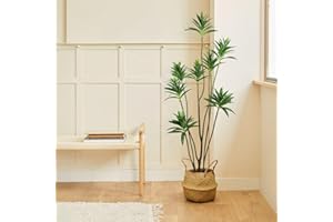 BLAINE | Dracena Reflexa Oscura 150cm | Plantas Artificiales Decorativas | Planta Artificial Grande | Plantas Artificiales para Interior/Exterior | Planta Artificial Realista Decorativa para Casa