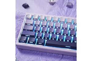 MINTCAPS PBT Doubleshot Keycaps 134 Tasten Gradient Purple Backlit OEM Profile Keycaps Full Set Custom Keyboard Key caps für 60% 65% 70% 75% Cherry Gateron MX Switches Mechanische Tastatur