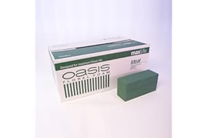 20 x Oasis Ideal Max Life Wet Foam Brick Block for Florist Floral Craft Flowers Floristry Designs & Displays by Smithers Oasis
