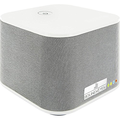 Preisvergleich Produktbild Schwaiger HAS110 8 W grau, weiß Lautsprecher