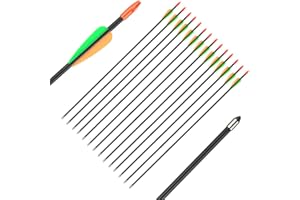 ‎HUNTINGDOOR Huntingdoor 12 Stück Pfeile für Bogenschießen 28/26 Zoll Bogen Pfeil Übungspfeile Fiberglaspfeile für Anfänger Pfeil und Bogen Zielübung