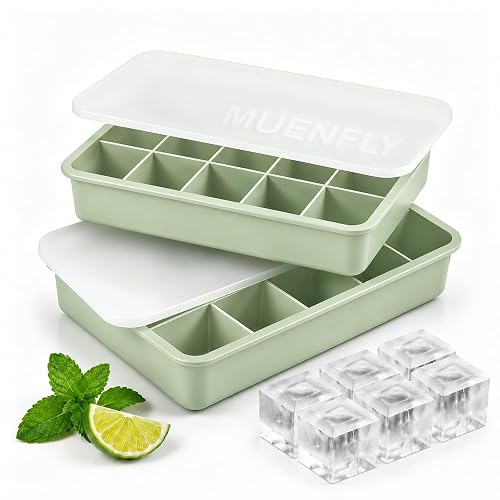 muenfly Eiswürfelform Silikon, 2er mit Deckel