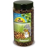 JR Mehlwürmer in der Dose 70 g