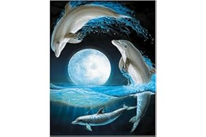 JISHSHAY Diamond Art Painting Kit Full Square Drill,40x50cm 5D DIY Diamond Painting Kits Adults Cross Stitch Kit Crystal Embroidery Canvas Picture Adult Kid Gift for Wall Decor(Seaside Dolphin Moon)