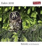 Image de Eulen - Kalender 2018: Kalender mit 53 Postkarten