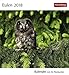 Eulen - Kalender 2018: Kalender mit 53 Postkarten by 