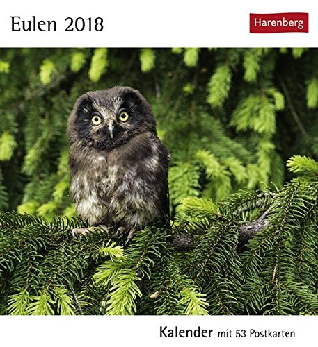 Eulen - Kalender 2018: Kalender mit 53 Postkarten