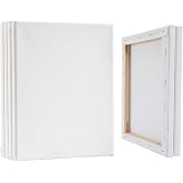Paporich 6 Pack Canvas Boards, 20 * 25cm