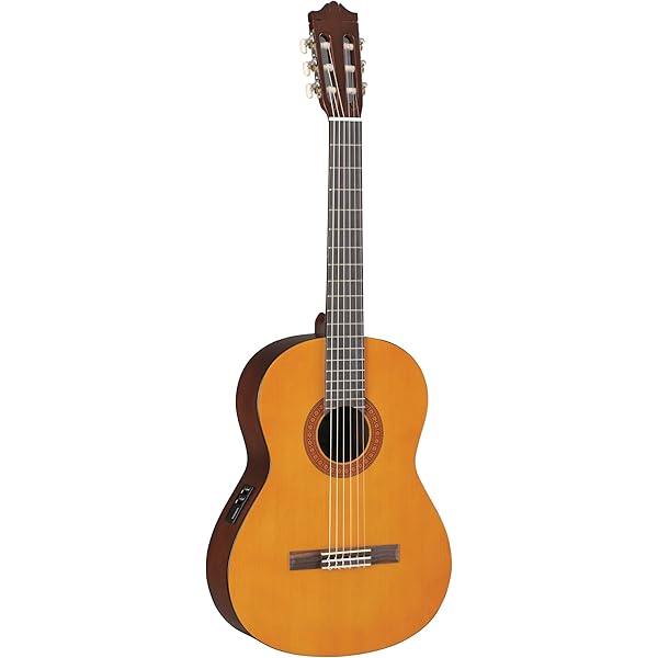 Cinghie Per Chitarra E Ukulele | Produttore Di Prodotti Promozionali
