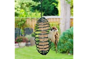 Fancylande Mangiatoia per Uccelli Gnocco Grasso Porta-Palline Mangiatoia per Uccelli All'aperto Dispenser di Cibo Appeso Mangiatoia per Semi di Uccelli Selvatici per Tit Piccoli Uccelli Remarkable