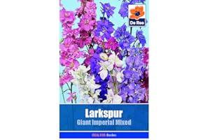 GENERIC Larkspur Giant Imperial Mixed - 290 Seeds Flower Plant Bedding Borders Containers Pots Grow Your Own Garden Plant Seed