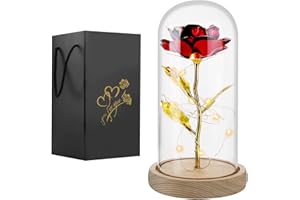 DUBEUYEW Regalo per lei,regali di compleanno per donna mamma moglie nonna,fiore artificiale per sempre rosa in cupola di vetro,rosa rossa con cordino luminoso a led,regali unici per anniversario di matrimonio
