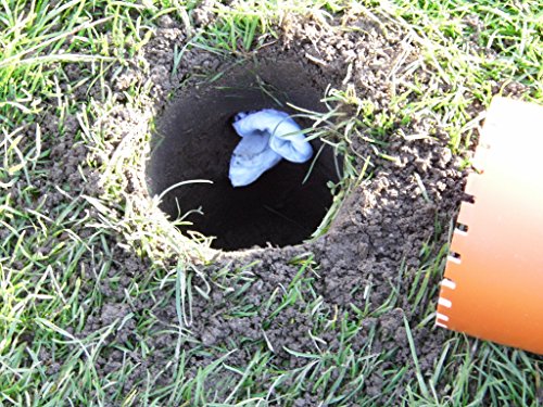 Maulwurfshügel-Ex - 4