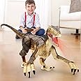FRUSE Remote Control Dinosaur Toys for Boys,2.4Ghz Electronic Walking RC Dinosaur Robot w/Sounds & LED Light,Realistic Jurassic Dino Raptor w/Rechargeable Battery for Kids 3 4 5 6 7 8 9 Years Old