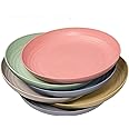 Hobein Unbreakable Dinner Plates, 9 Inch Set of 6 Plastic Plates, Dishwasher and Microwave Safe, Unbreakable and Lightweight, Healthy for Kids (9 inch)