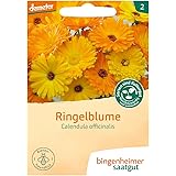 Bingenheimer Saatgut - Ringelblume Calendula - Blumen Saatgut / Samen