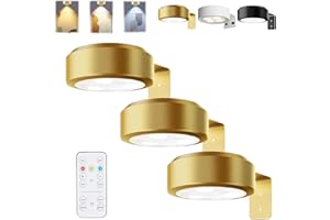 HItianya Picture Lights for Wall, Magnetic Painting Light, Luci per quadri senza fili, luci per poster con 3 temperature di colore e telecomando (Oro*3PC, 3Color)
