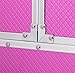 tinkertonk Professional Aluminium Beauty Cosmetic&Makeup Case Toiletry Storage Nail Hairdressing Vanity Box Jewelry Case Cosmetics Box Trolley (Pink Pink)
