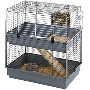 Ferplast 57046517 Meerschweinchenheim CAVIE 80 DOUBLE, Maße: 80 x 50 x 84 cm