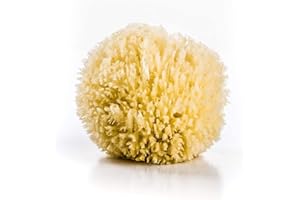 ana wiz Spugna marina naturale a nido d'ape, morbida e assorbente, perfetta per neonati e adulti, ipoallergenica, adatta per la pelle delicata e sensibile del bambino.