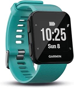 garmin 300