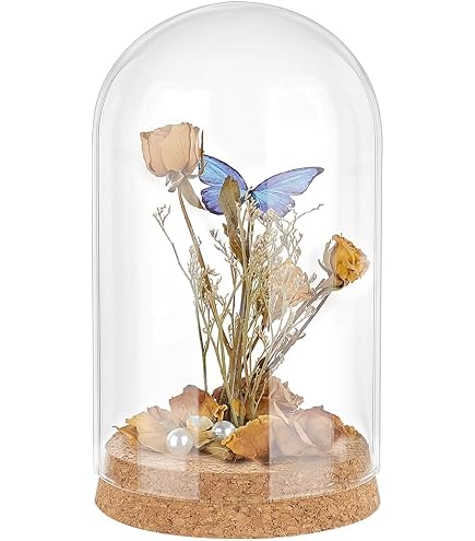 PH PandaHall Cupola con Display In Vetro Cloche di Grandi Dimensioni Da 4.8x7.8 pollice, Vetrina per Esposizione A Campana con Manico A Cuore con Base In Legno per Fiori, Piante, Decorazioni