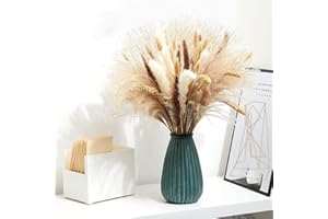 IS TYCONS 70PCS Hierba de la Pampa Seca Flores Secas Naturales Deco DIY Ramo de Flores Secas,Ramo de Hierba de la Pampa Flor de Caña Deco Ideal para Boho Salón Dormitorio