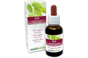 Elm eller Engelsk alm (Ulmus procera) Naturalma Emotionella blommor eller Bachblommor - 30 ml Flytande alkoholfritt extrakt i droppform - Blommessenser - Vegansk