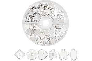PH PandaHall 1 Scatola 60PCS Ciondoli Pendenti in 304 in Acciaio Inox per Collana Bracciali Fai Da Te, Acciaio Inossidabile Colore, 17.5-23x9-20x0.8-1mm, foro: 1-2mm