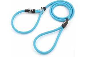 Bunty Rope Slip Lead for Dogs, Medium | Anti Pull Dog Lead, One-Size-Fits-All, Durable Woven Nylon, Ideal for All Dogs - No Pull Training Aid, No Collar Needed - 120cm, Light Blue