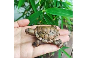 WOO MANTO Schildkröte Figur 6,5cm lang - kleine Tierfigur aus Harz, Dekofigur für Garten/Indoor Flaschengarten Miniteich