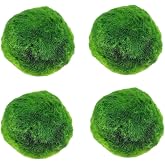 Natural Plants, Pack of 4 Live Marimo Moss Balls, 2, 7-2, 9cm After Soaking - Natural Aquarium Plants for Fish Tank Decoratio