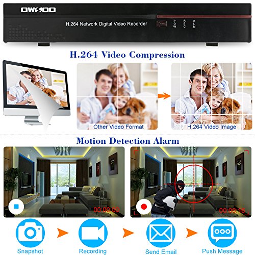 OWSOO 8CH Kanal Voll 960H/D1 800TVL CCTV Überwachung DVR Security System HDMI P2P Cloud Network Digital Video Recorder + 4 * Indoor Infrarot-Dome-Kamera + 4 * 60ft Kabel - 6