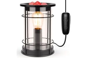 SALUBRITO Electric Wax Melt Burners with Timer, Metal Glass Wax Burners for Wax Melts, Wax Melter with 40W Edison Bulb for Home