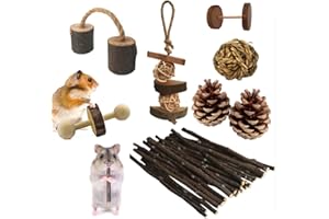 Qiwenr 8Pcs Ensemble Hamster Chew,Jouets Naturel en Bois Gerbilles Rats Chinchillas Jouets Accessoires Jouets Mâcher pour Hamster Mâcher en Bois Naturel Petits Animaux Jouet Molaire Hamster Cochon