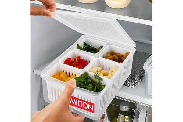MILTON 6-in-1 Grid Fridge Storage Containers Fridge Organizer Container & Lid, Stackable Box, Space Saving Plastic Containers for Chopped Vegetables, Fruits