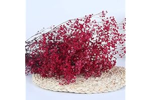 YIWOYI Ramo de flores secas naturales Gypsophila Paniculata preservadas para decoración del hogar y fiestas de boda (rojo rosado, 15-30 cm, 20 g)