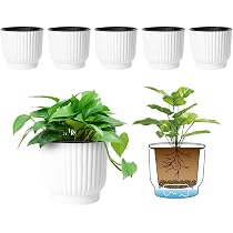 5 Stück Selbstbewässernde Blumentöpfe – 15 Cm, Weiß, Mit Seil & Untertasse, Für Garten & Balkon