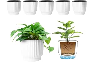 ‎T4U T4U 15cm Selbstbewässerung Blumentopf mit Untersetzer, Blumentopf Draussen und Innen für Orchideentopf, Kunststoff Selbstbewässerungstopf Klein Weiß 6er-Set