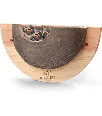 Wildtier Liebe Nid Double Hirondelle - Nichoir Naturel Bois Massif Non Traité Pour Hirondelles