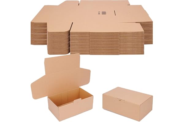 verpacking Boîtes pliantes 250 x 150 x 100 mm marron (dimensions extérieures 258 x 158 x 105 mm) WP 30 carton d’expédition carton DHL Hermes DPD GLS emballage (100 pièces)