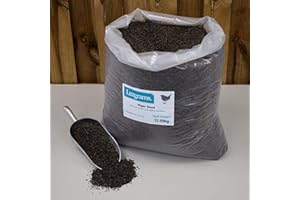 Leagrams Niger Seed Wild Bird Food | Nyger/Nyjer/Thistle Feed loved by Finches and small Wild Birds (12.55kg)