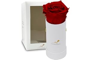 Rosenlieb Rosenbox Weiß mit Infinity Rosen (bis 3 Jahre haltbar) | Echte konservierte Rosen | Flowerbox inkl. Grußkarte Frau Freundin Geburtstag Muttertag (Rot)