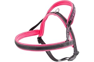 Ferplast Arnés Sport Dog, Arnes Perro Mediano, Arnes Tipo Sueco, Suave Acolchado, Costuras Reflectantes, Cierre de Clip, Ajustable, Etiqueta para el Nombre del Perro, Fucsia